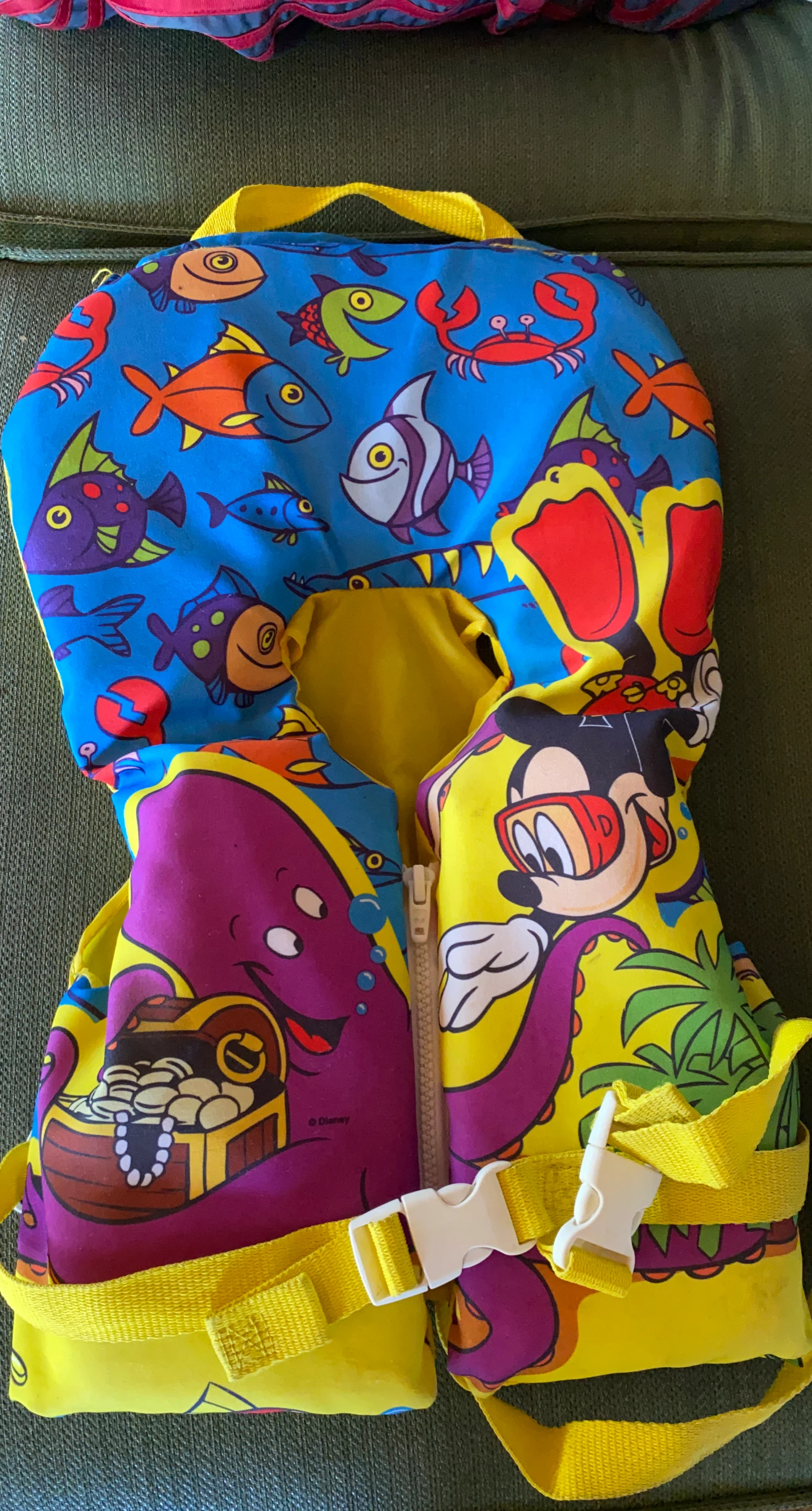 Disney Mickey Mouse and Friends Life Jacket Vest