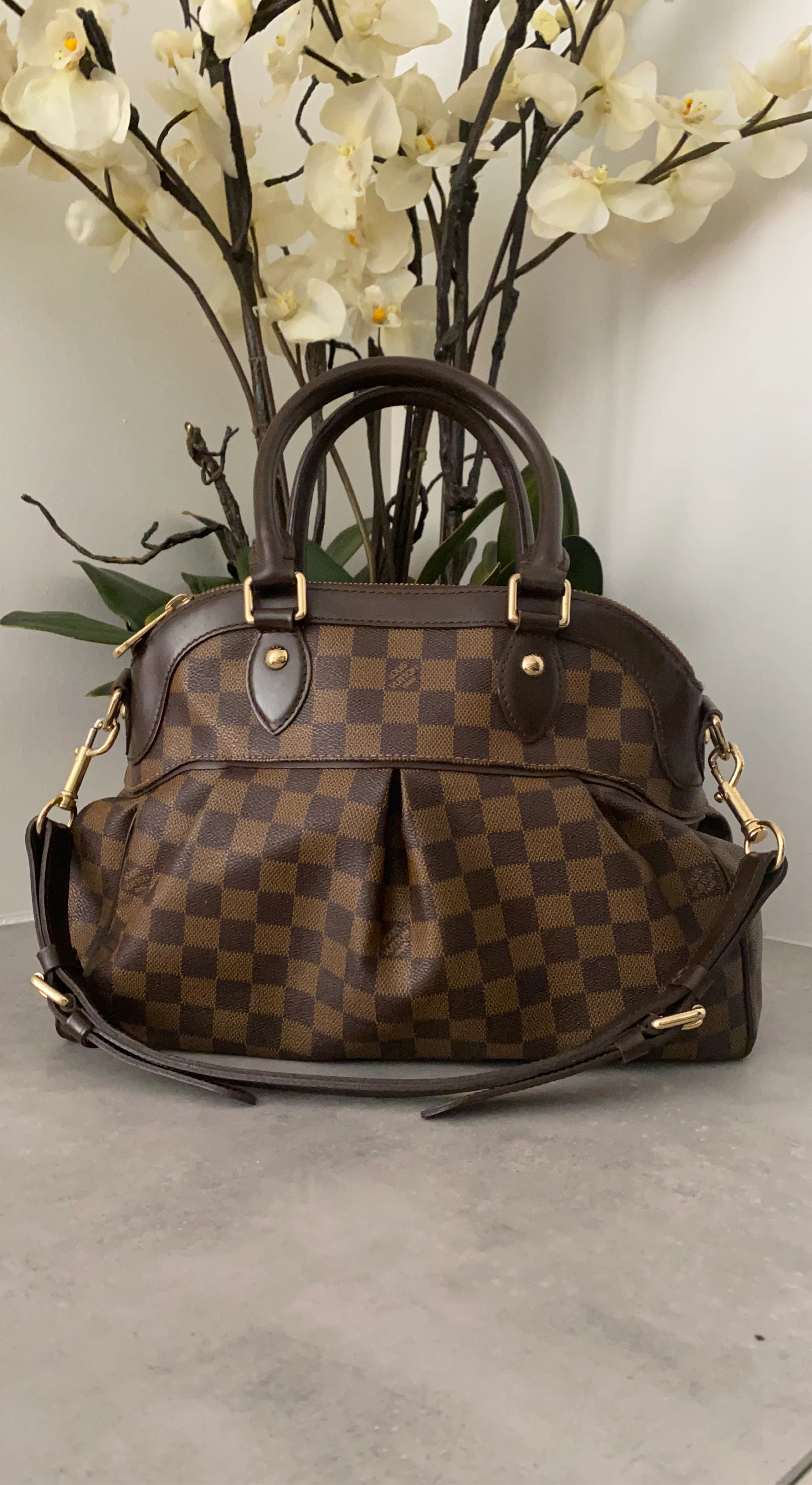 Louis Vuitton Speedy 30 Damier Ebene Handbag