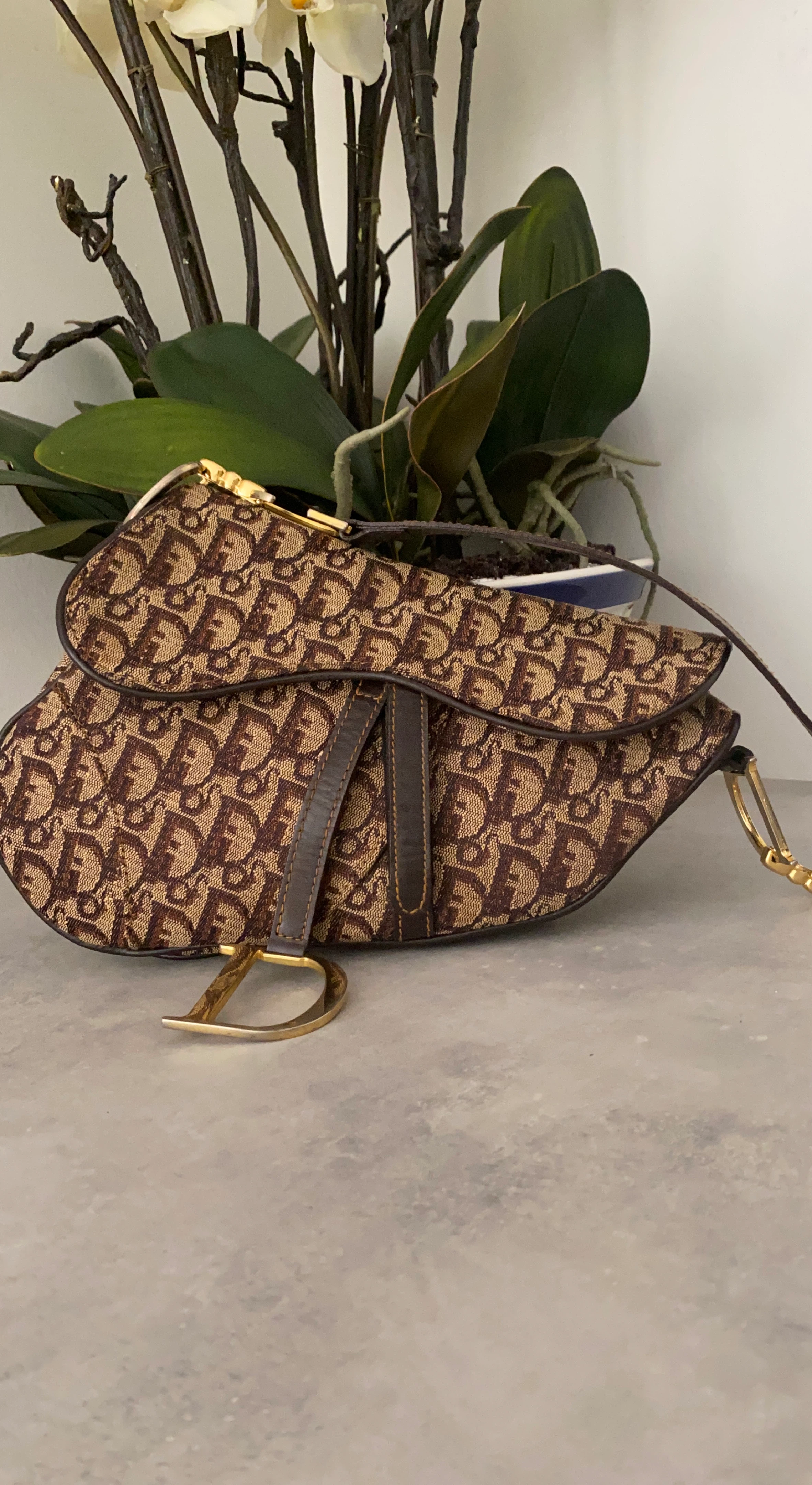 Dior Saddle Bag