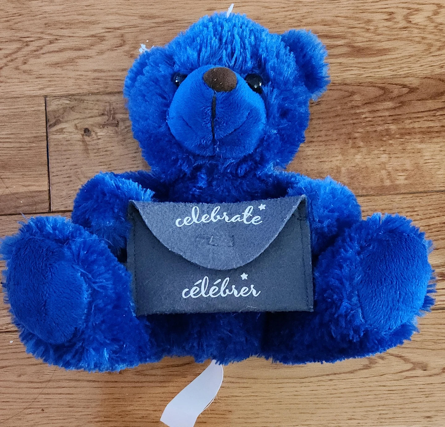 Blue Teddy Bear with 'Celebrate' Envelope