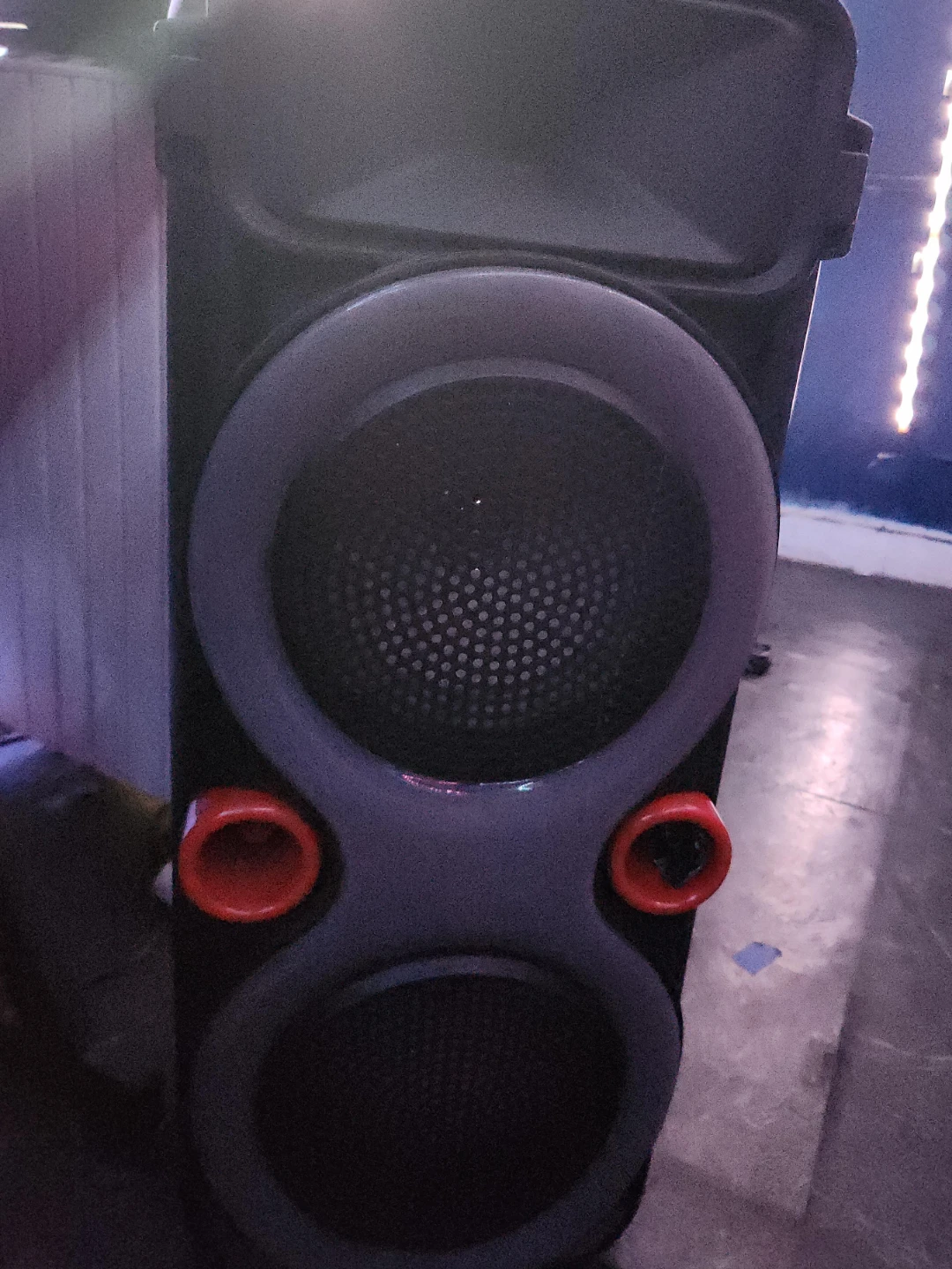 Portable PA Speaker System