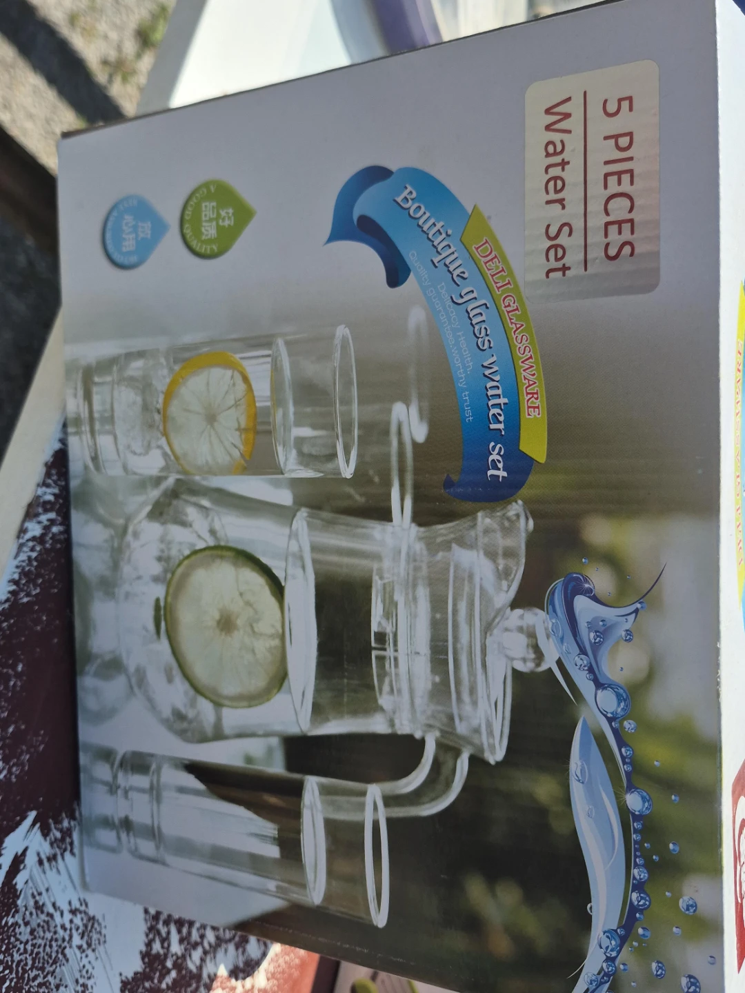 5 Piece Glass Water Set