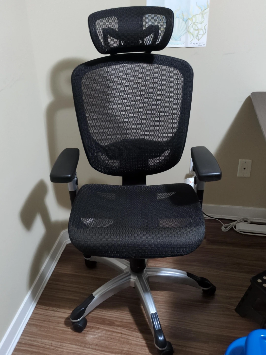 Ergonomic Mesh Office Chair with Headrest