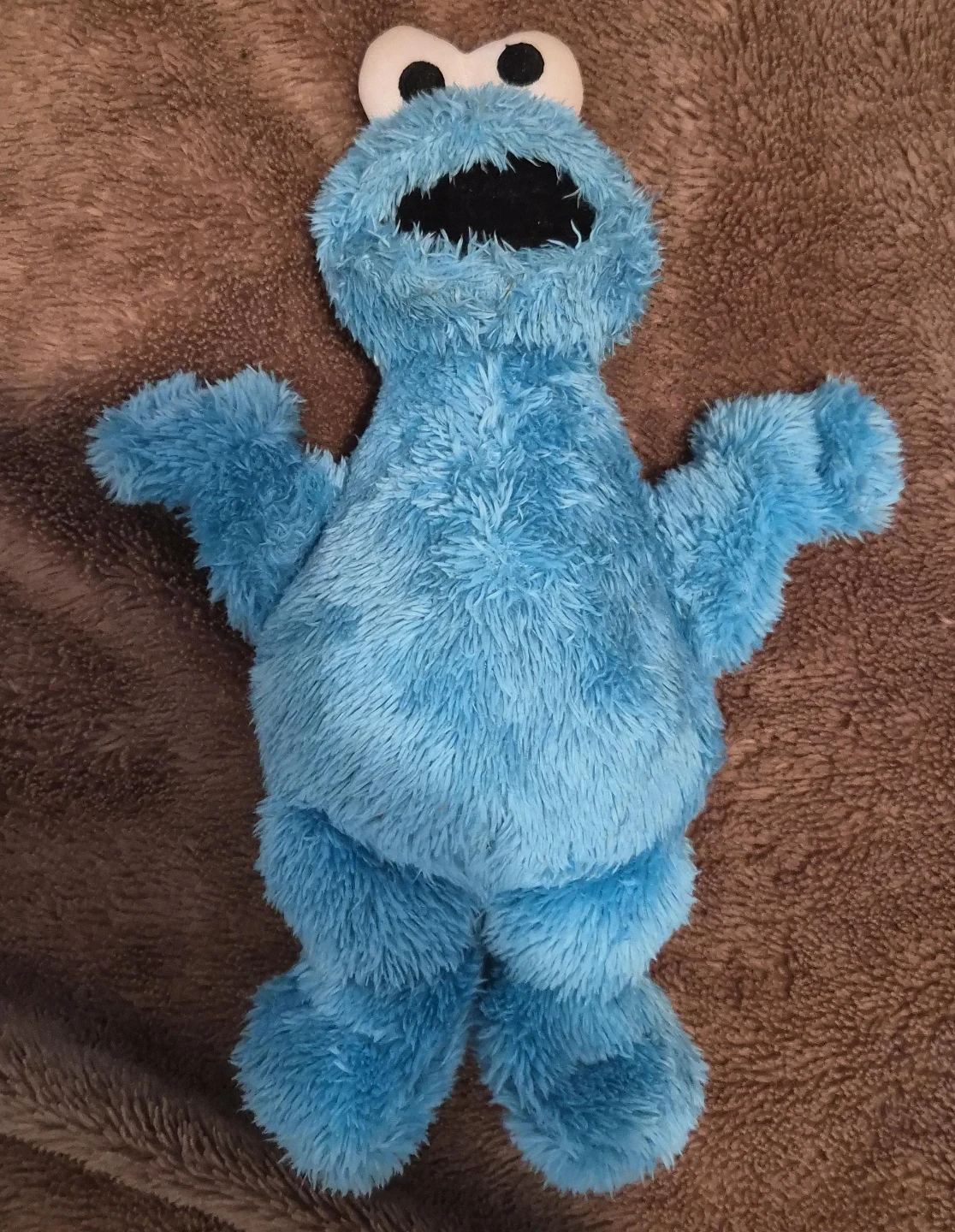 Cookie Monster Plush Toy