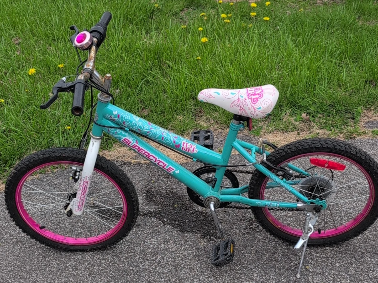 Supercycle Teal and Pink Kids Bike 18"