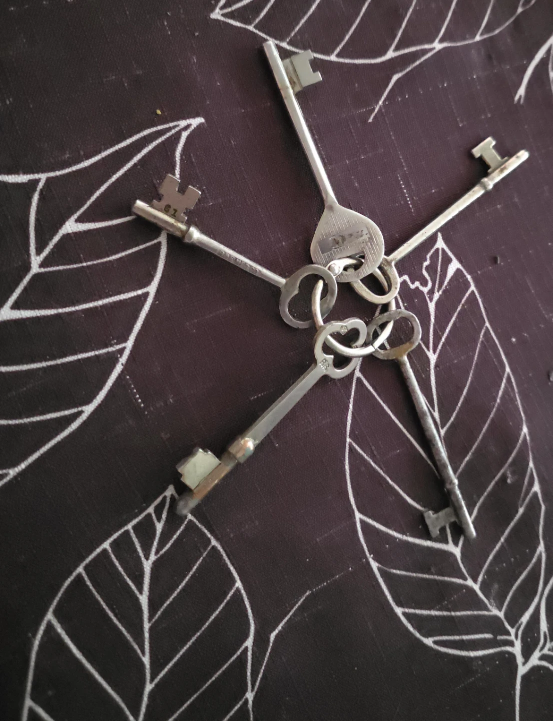 Vintage Skeleton Keys Set