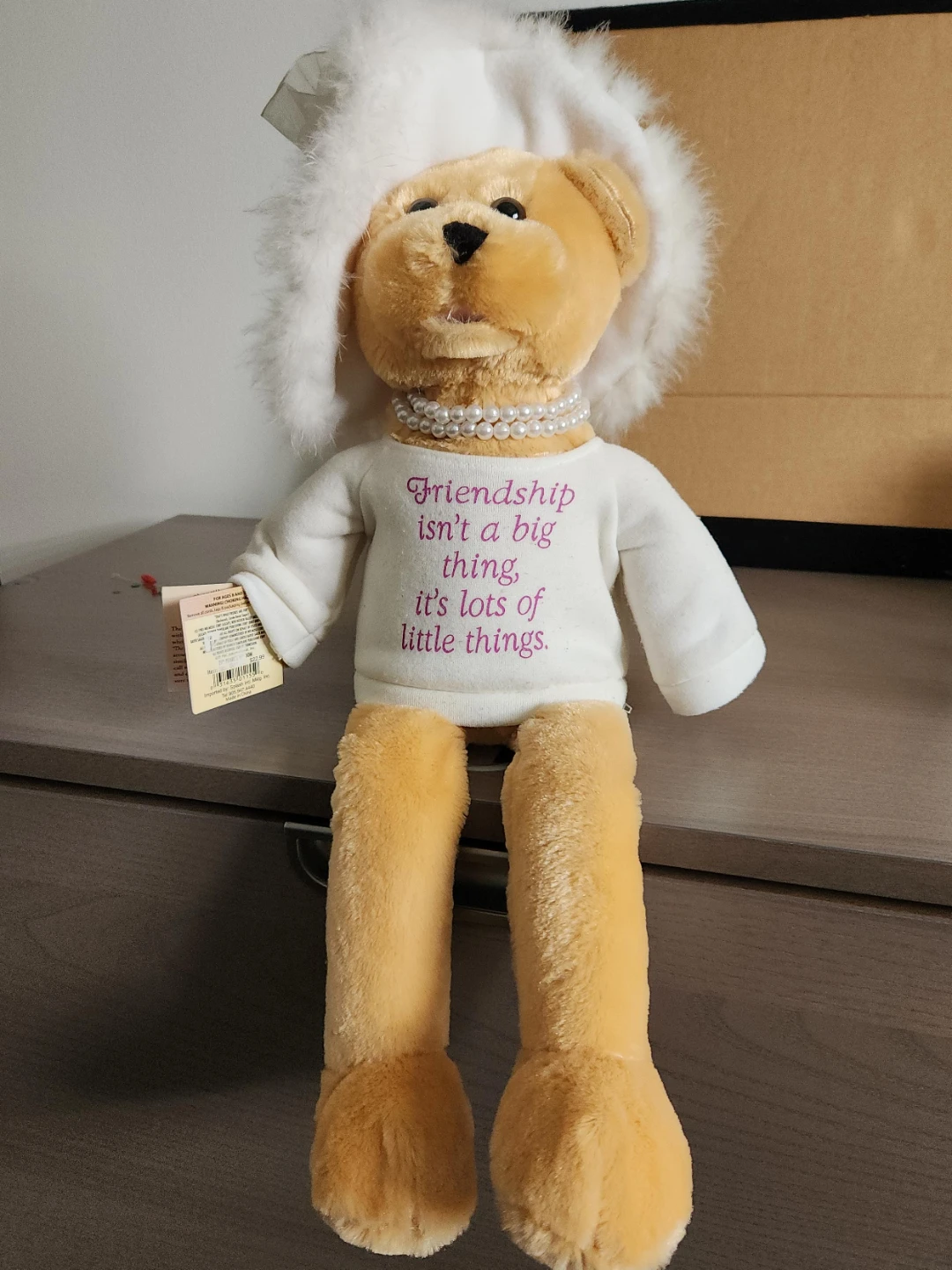 Friendship Teddy Bear Plush