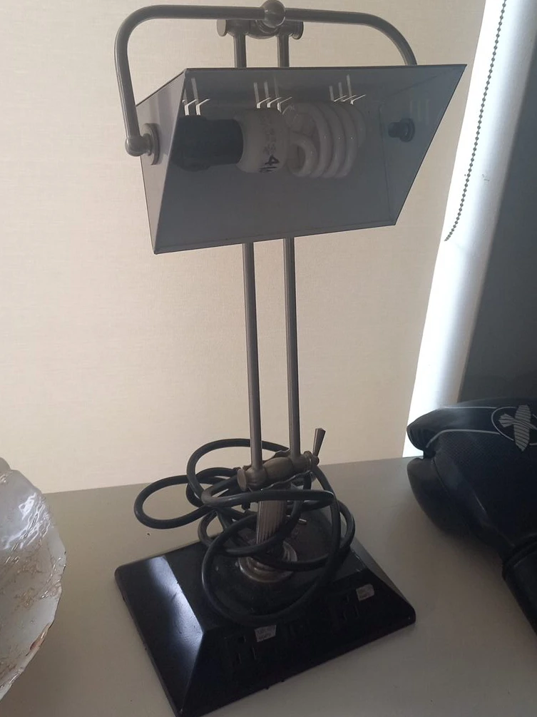 Adjustable Desk Lamp with CFL Bulb