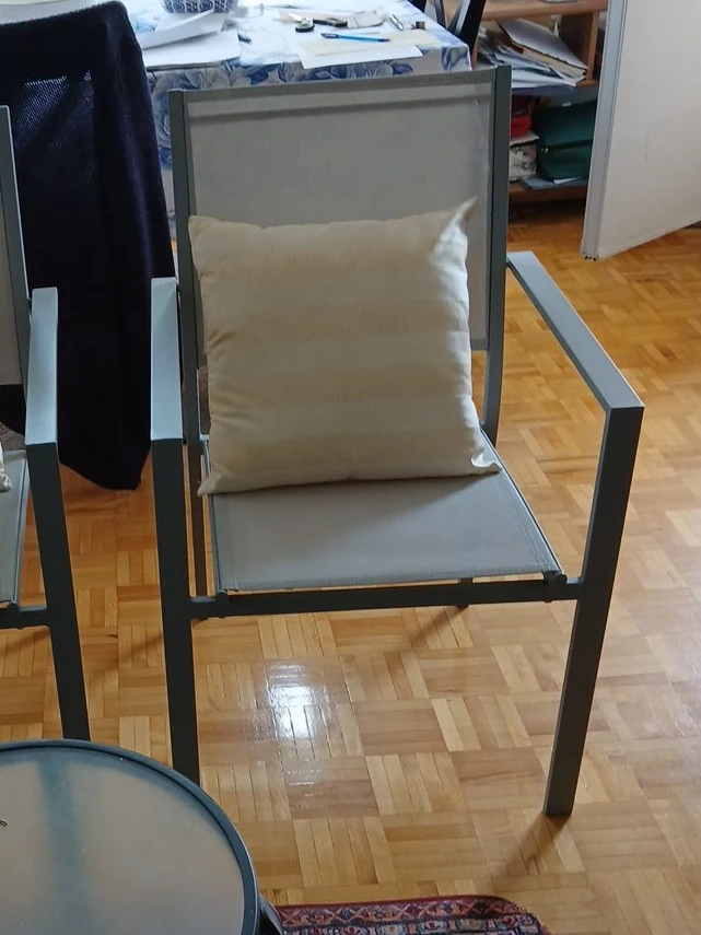 Outdoor Armchair with Cushion