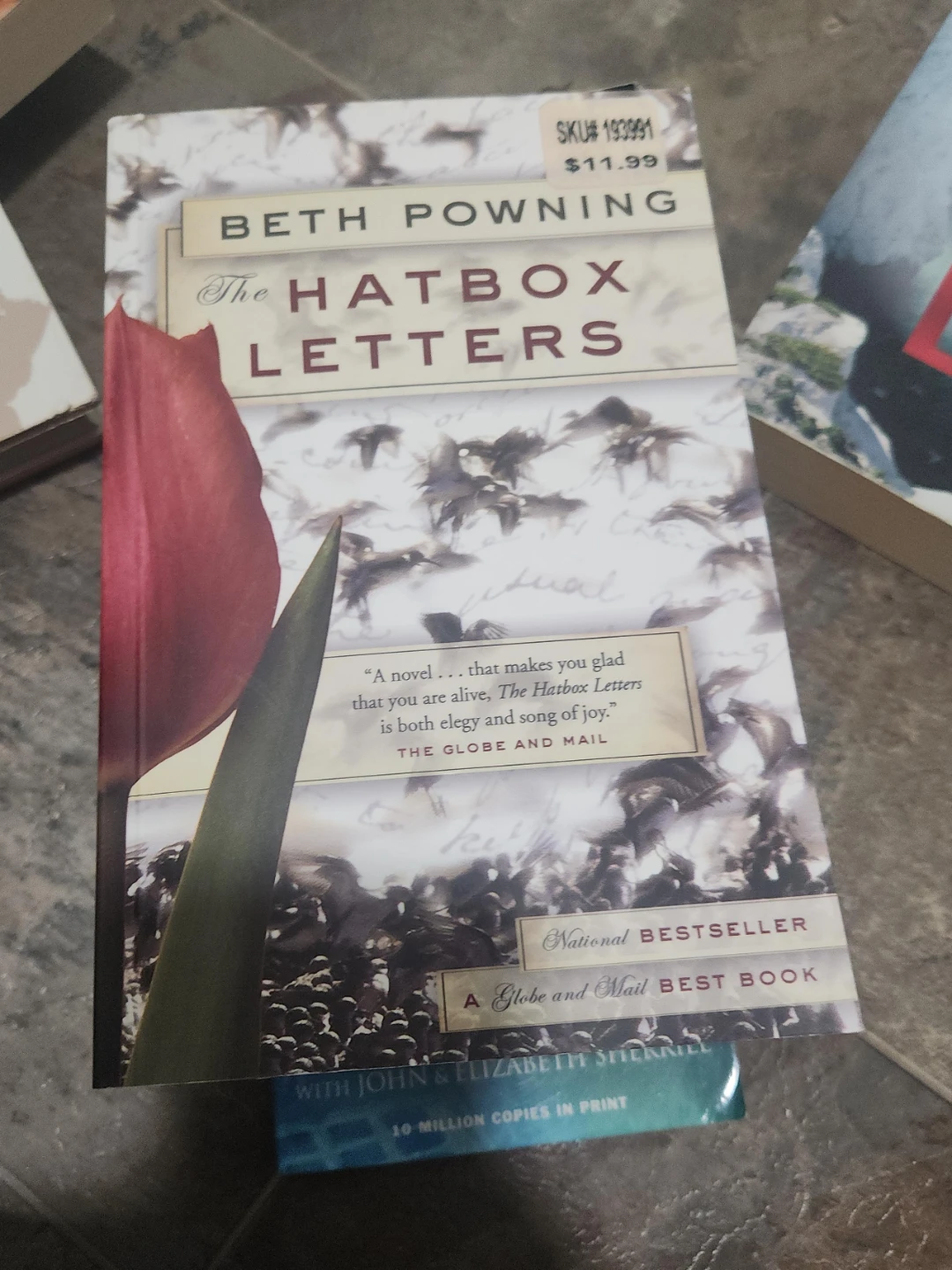 The Hatbox Letters by Beth Powning Novel