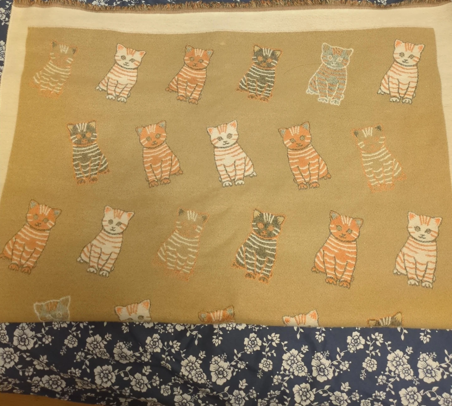 Kitten Throw Blanket