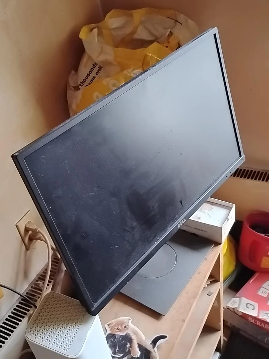 Dell Monitor