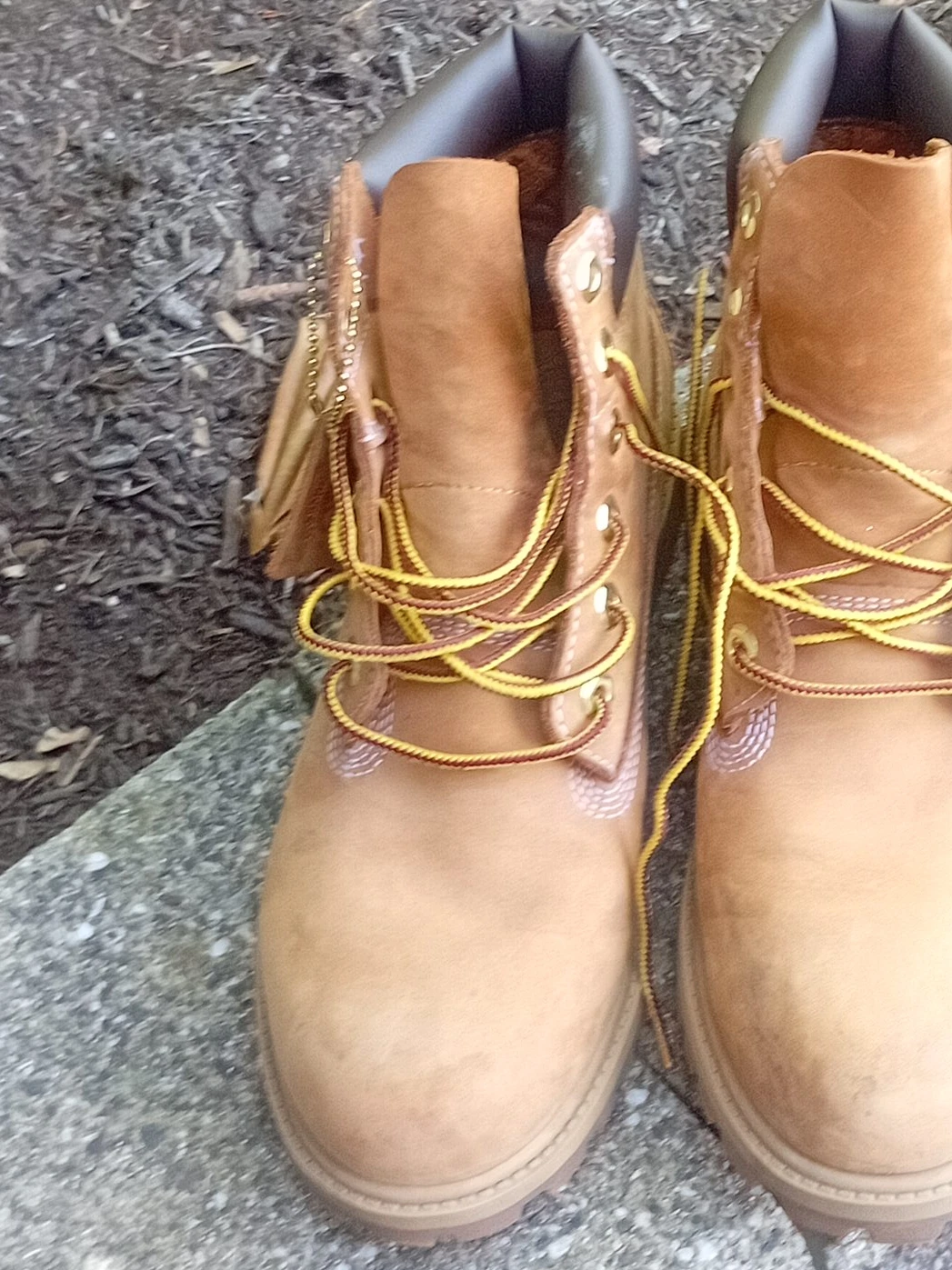 Timberland Classic Wheat Boots