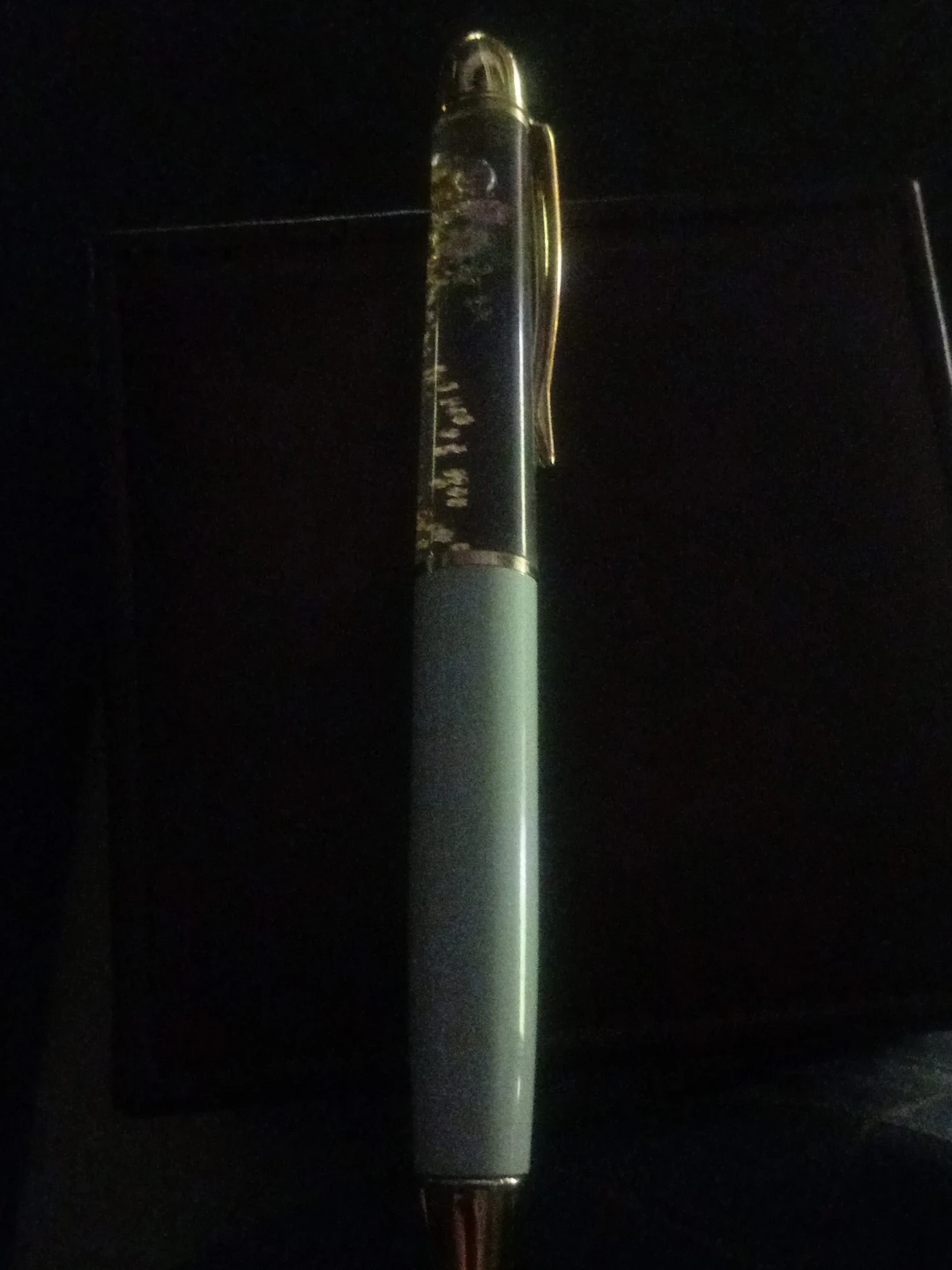 Decorative Pen with Gold Accents