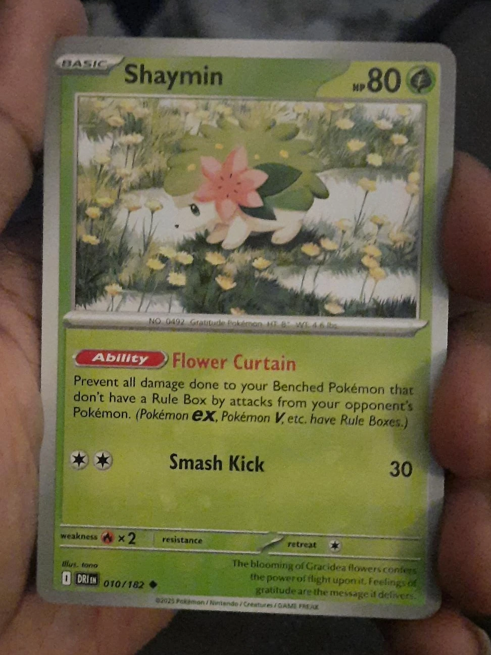 Pokémon TCG Shaymin Card