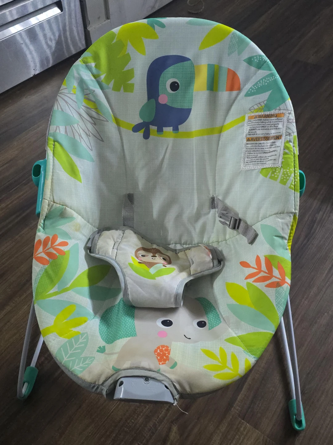 Fisher-Price Baby Bouncer Seat - photo 2