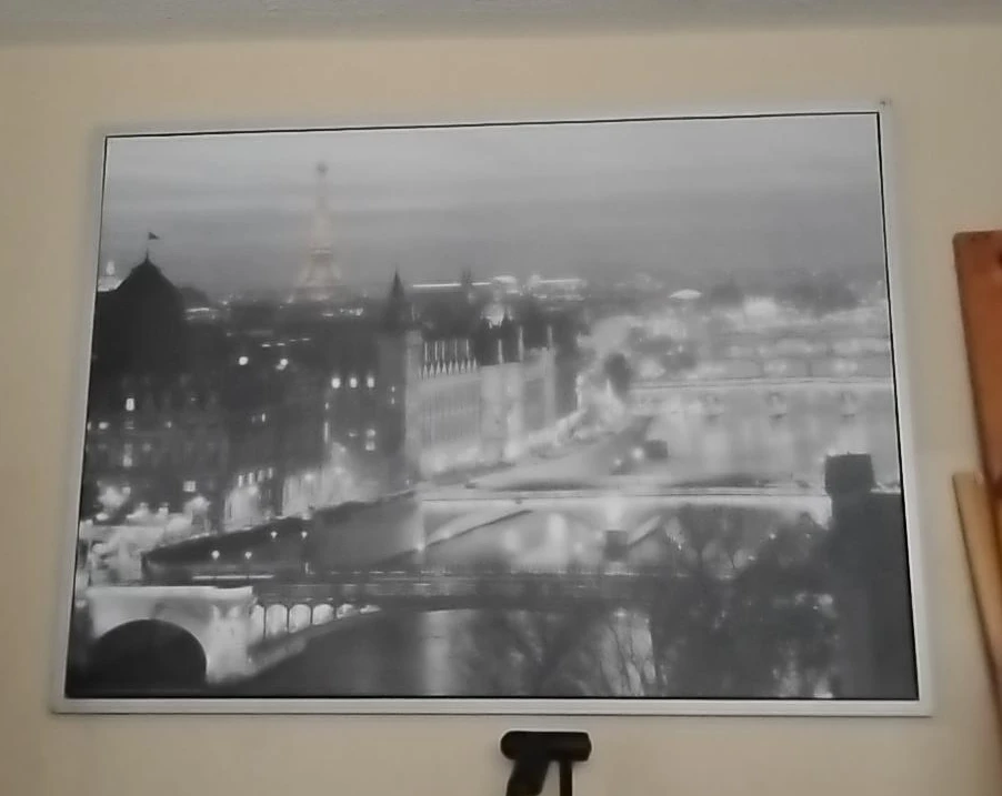 Paris Cityscape Framed Wall Art