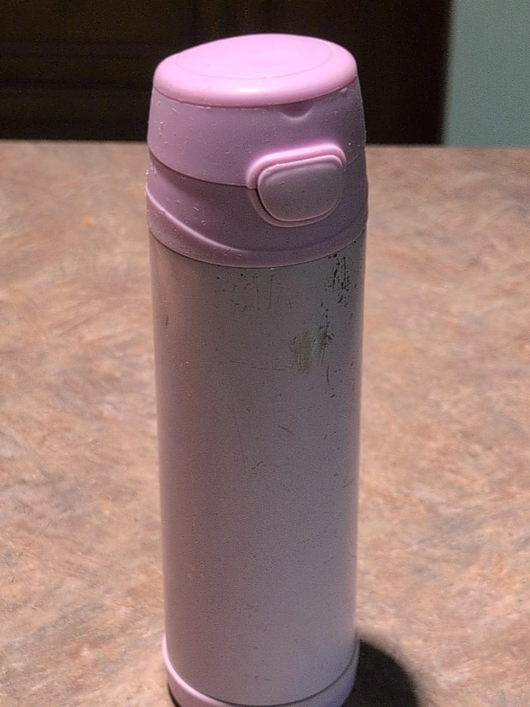 Pink Insulated Water Bottle