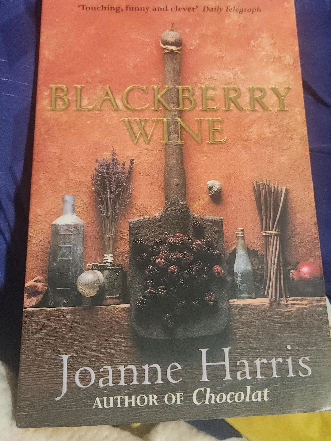 Blackberry Wine by Joanne Harris Paperback Book