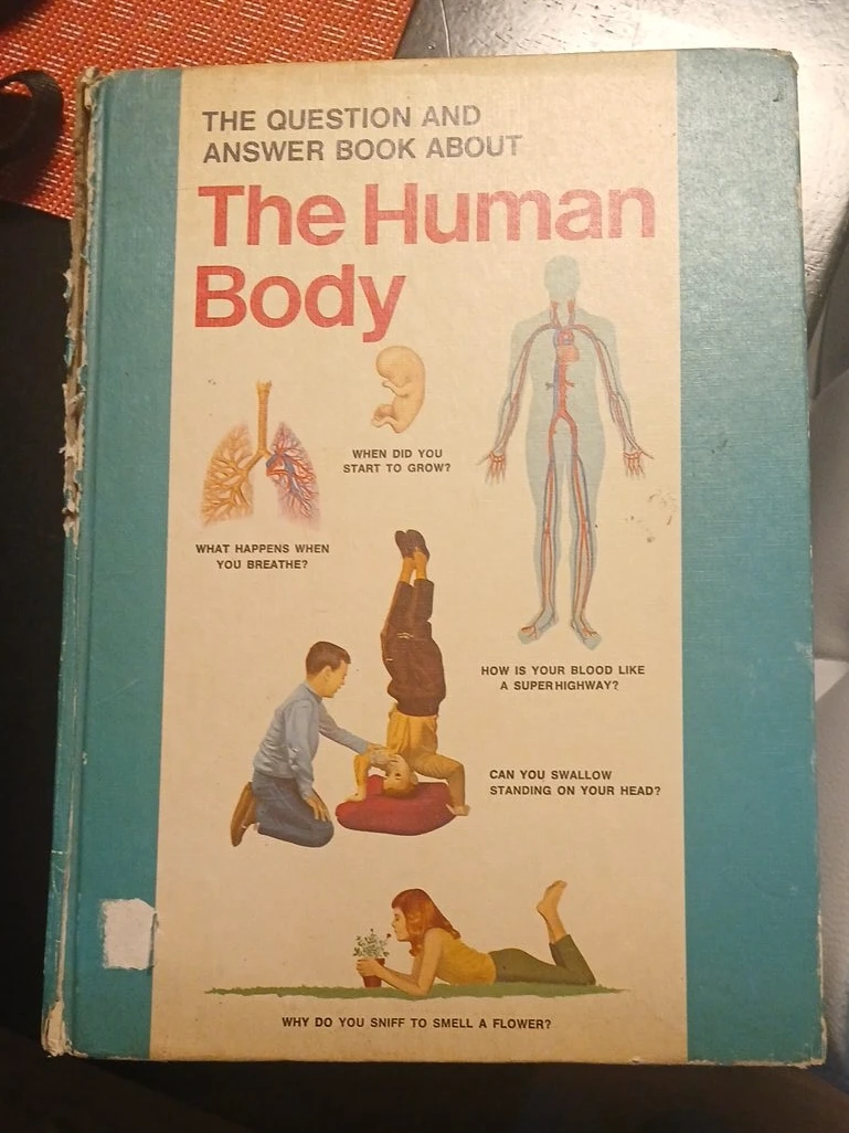 Book About The Human Body