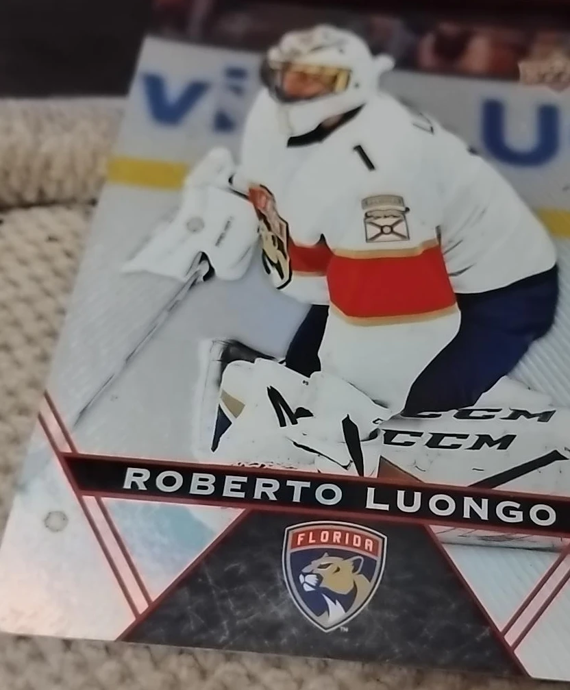 Roberto Luongo Florida Panthers Hockey Card