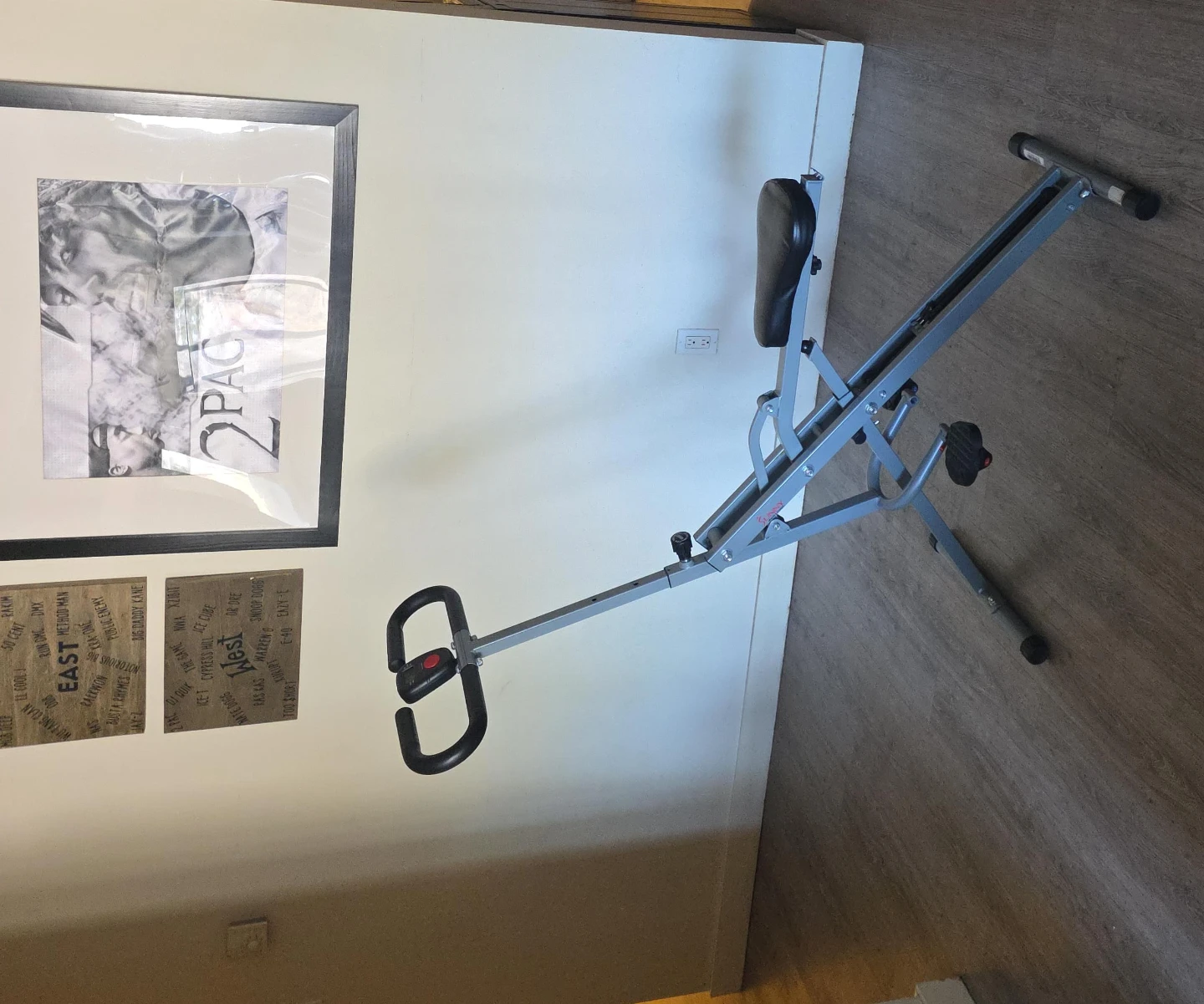 Sunny Health & Fitness Squat Assist Row-N-Ride Trainer