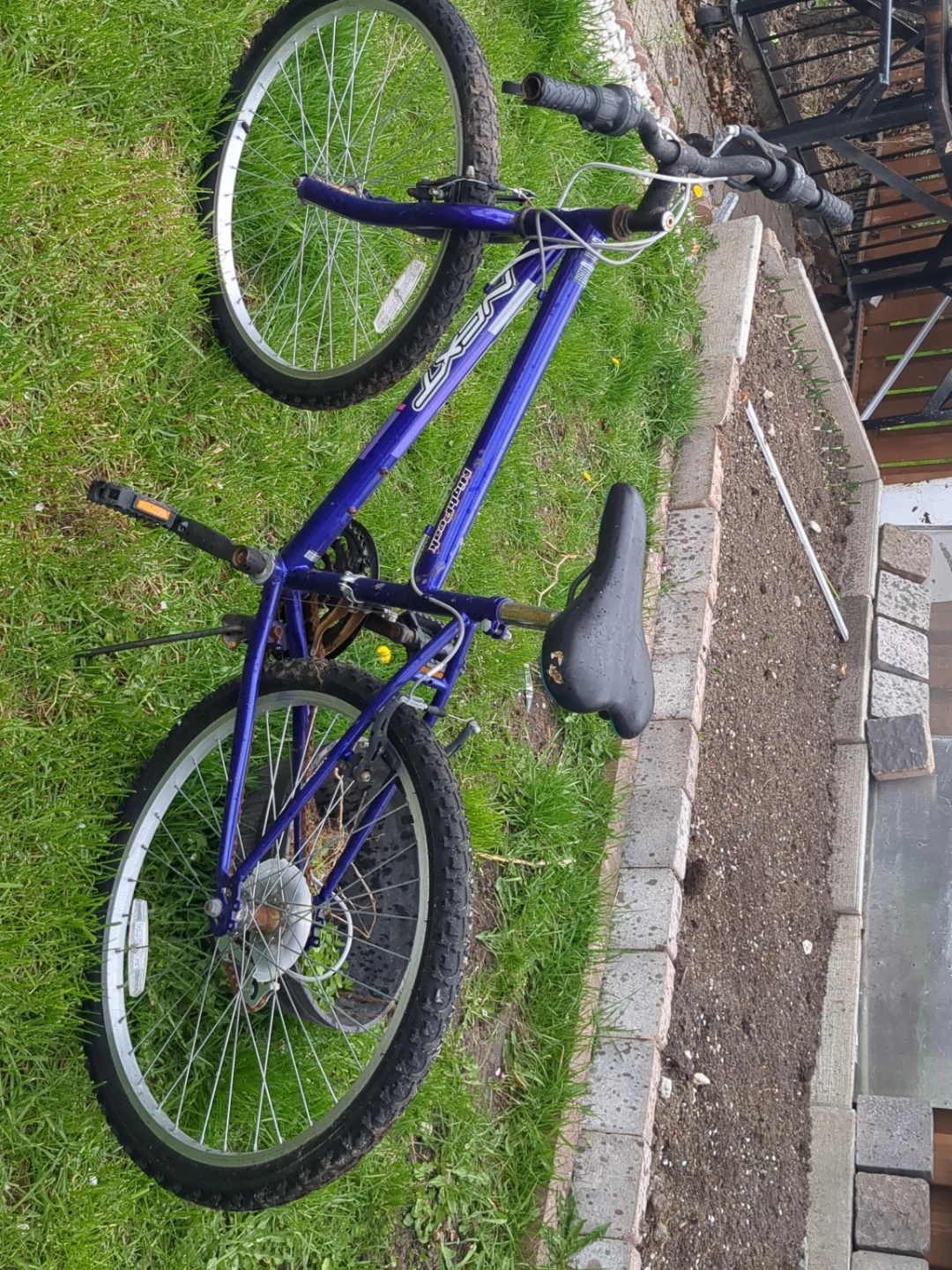 Next Boy's Mountain Bike