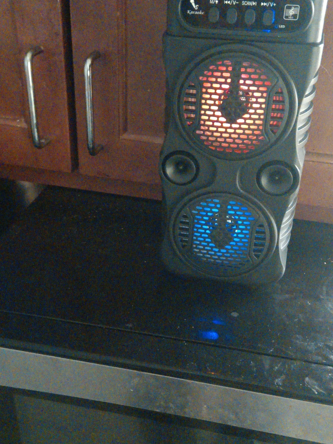 Portable Karaoke Speaker with LED Lights