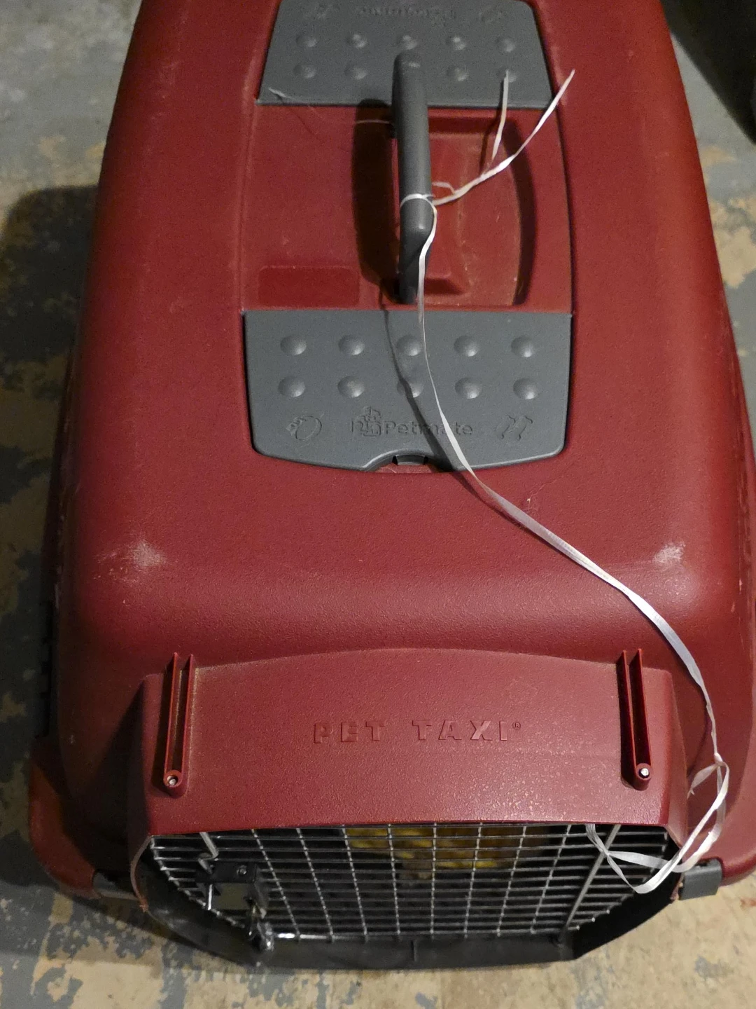 Petmate Pet Taxi Carrier
