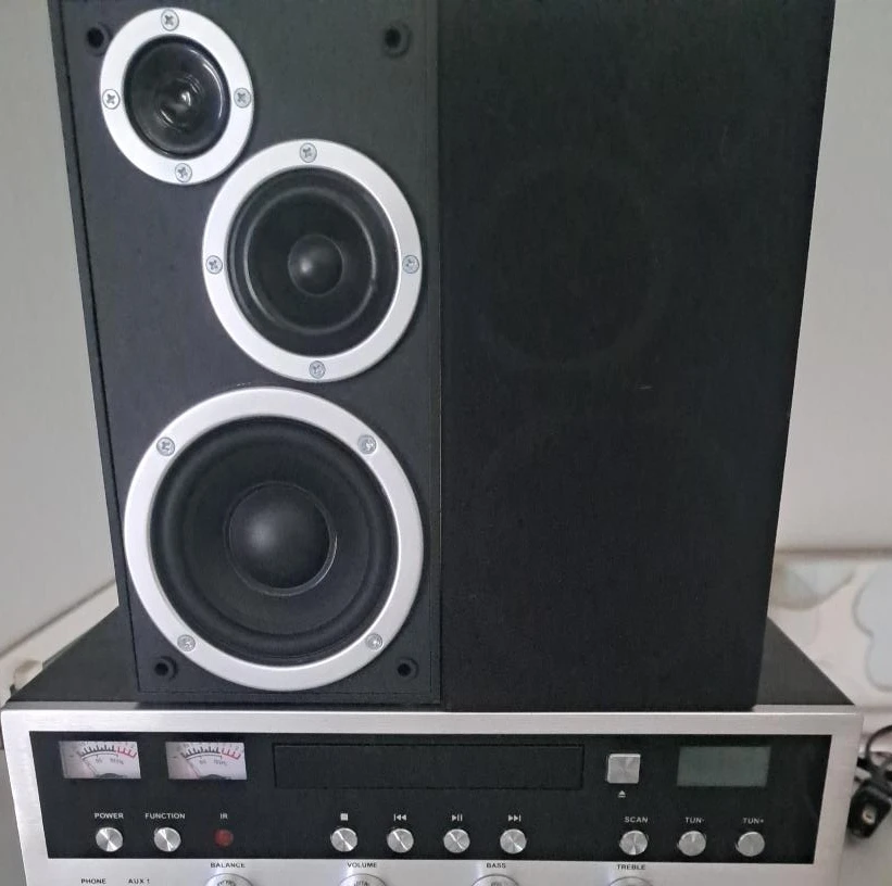 Stereo Speakers with Amplifier