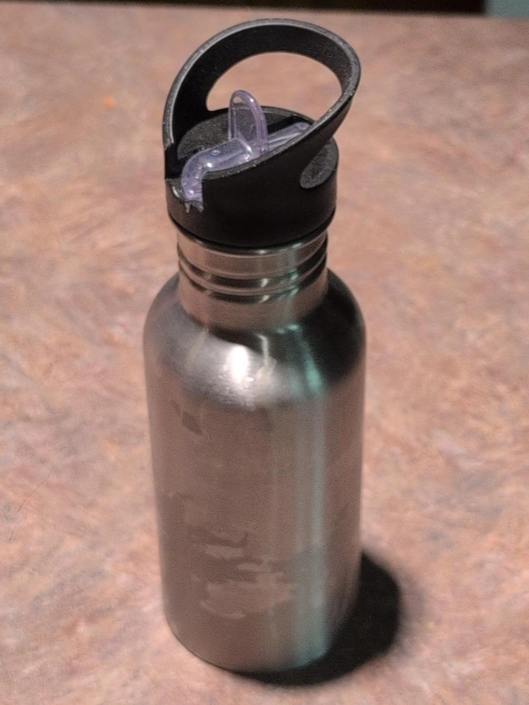 Stainless Steel Water Bottle with Flip Lid