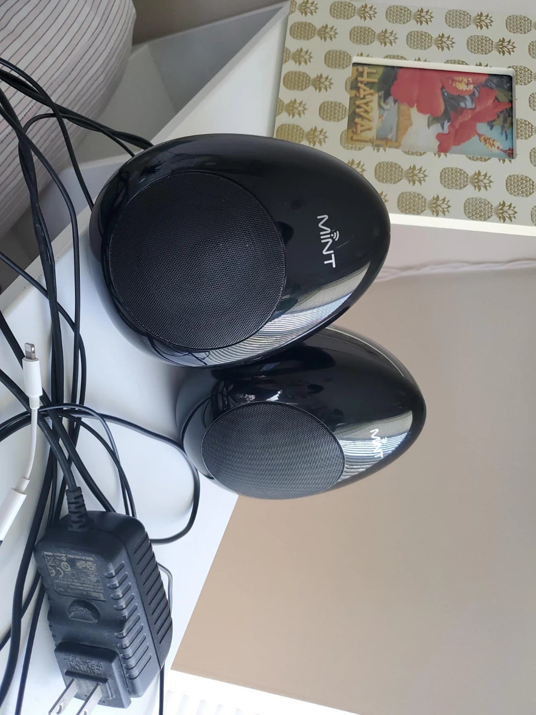 Mint Black Egg Shaped Computer Speakers