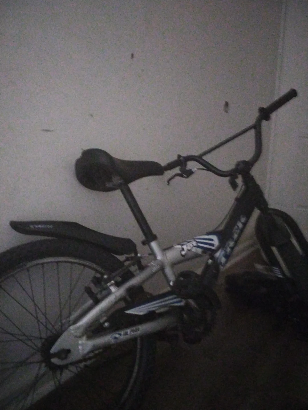 Trek Kids BMX Bike the chain just need to get fixed