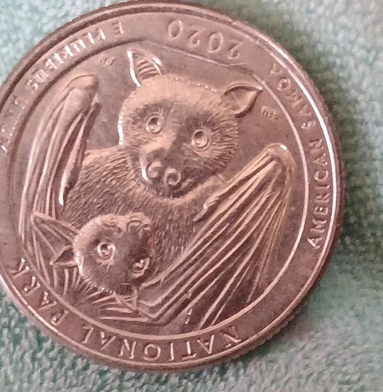 2020 American Samoa Quarter