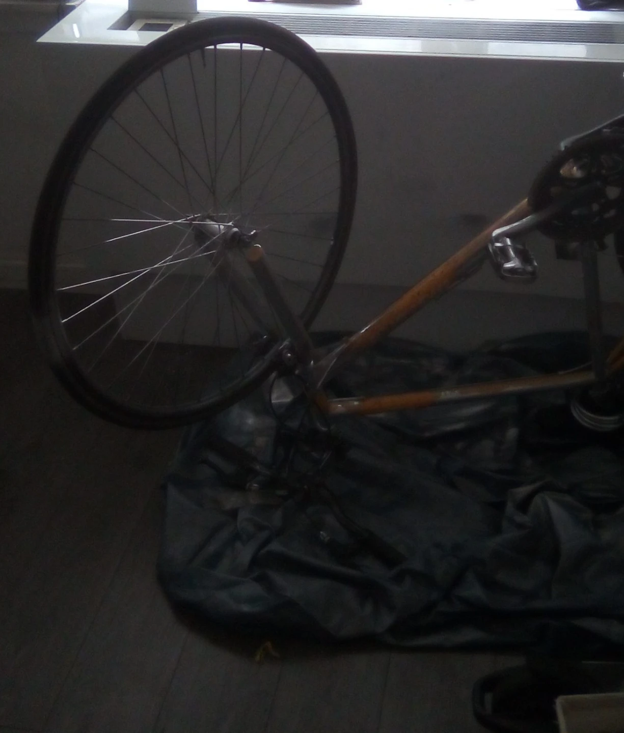 Vintage Bicycle Frame