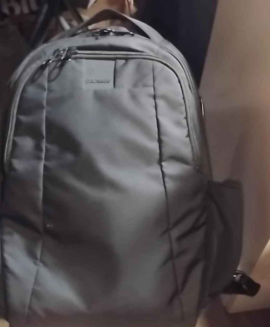 Pacsafe Backpack