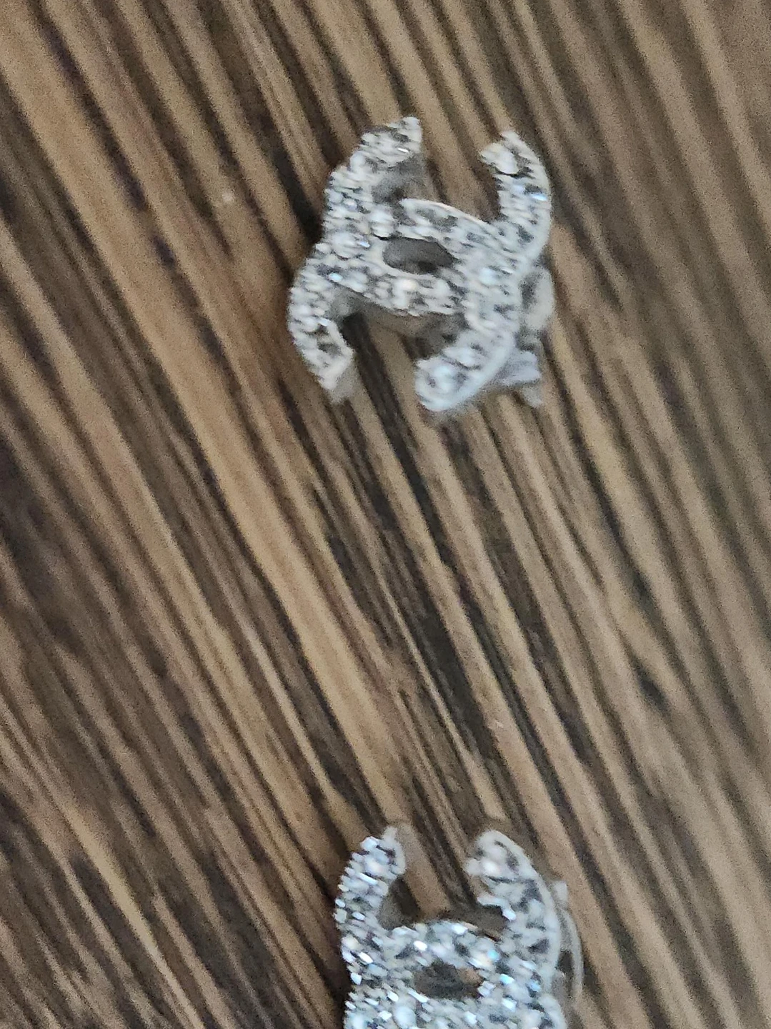 Sparkly CC Earrings