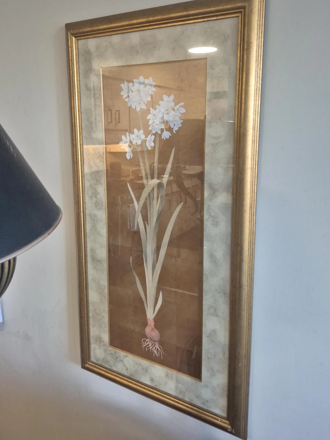 Framed Botanical Print of White Flowers and Onion Bulb