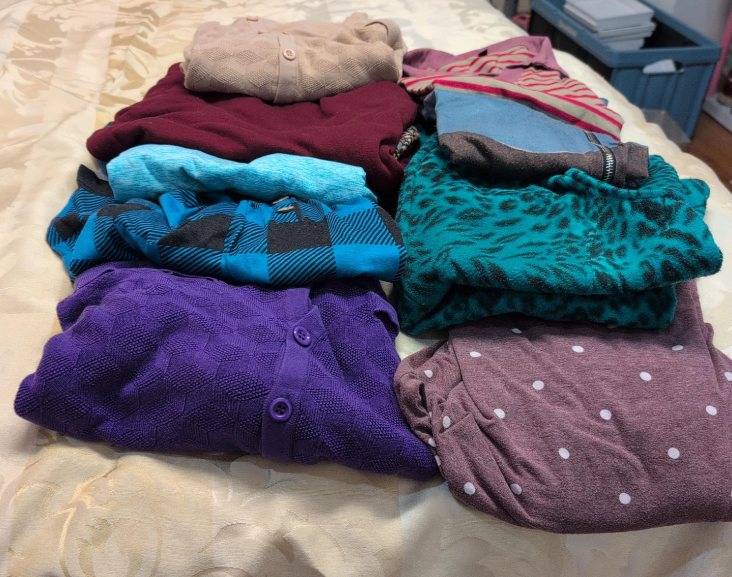 Assorted Women's Clothing Bundle