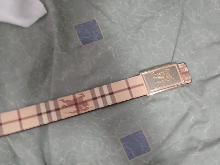 Burberry Nova Check Belt