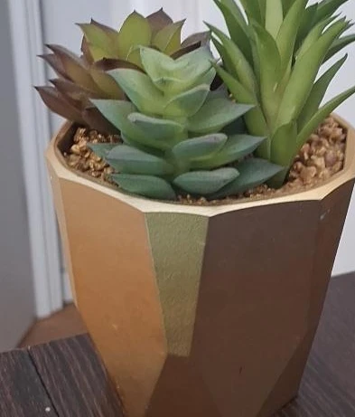 Mainstays Succulent Gold Pot - photo 3