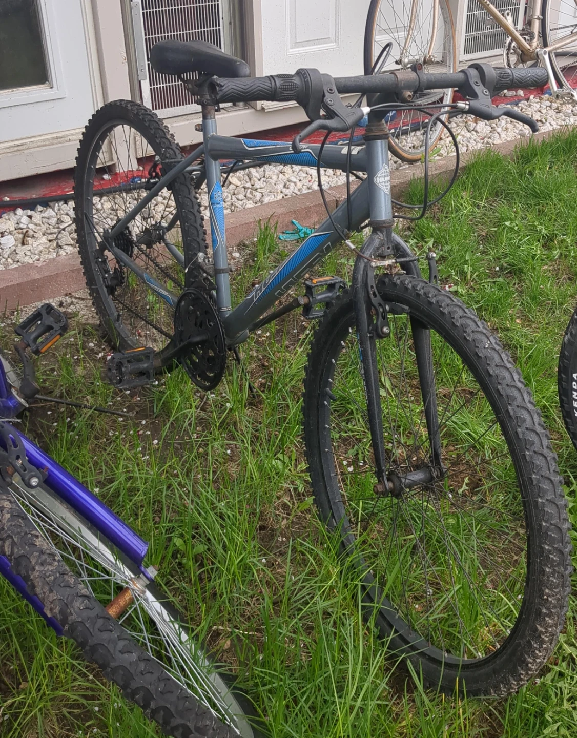 Gray Mountain Bike