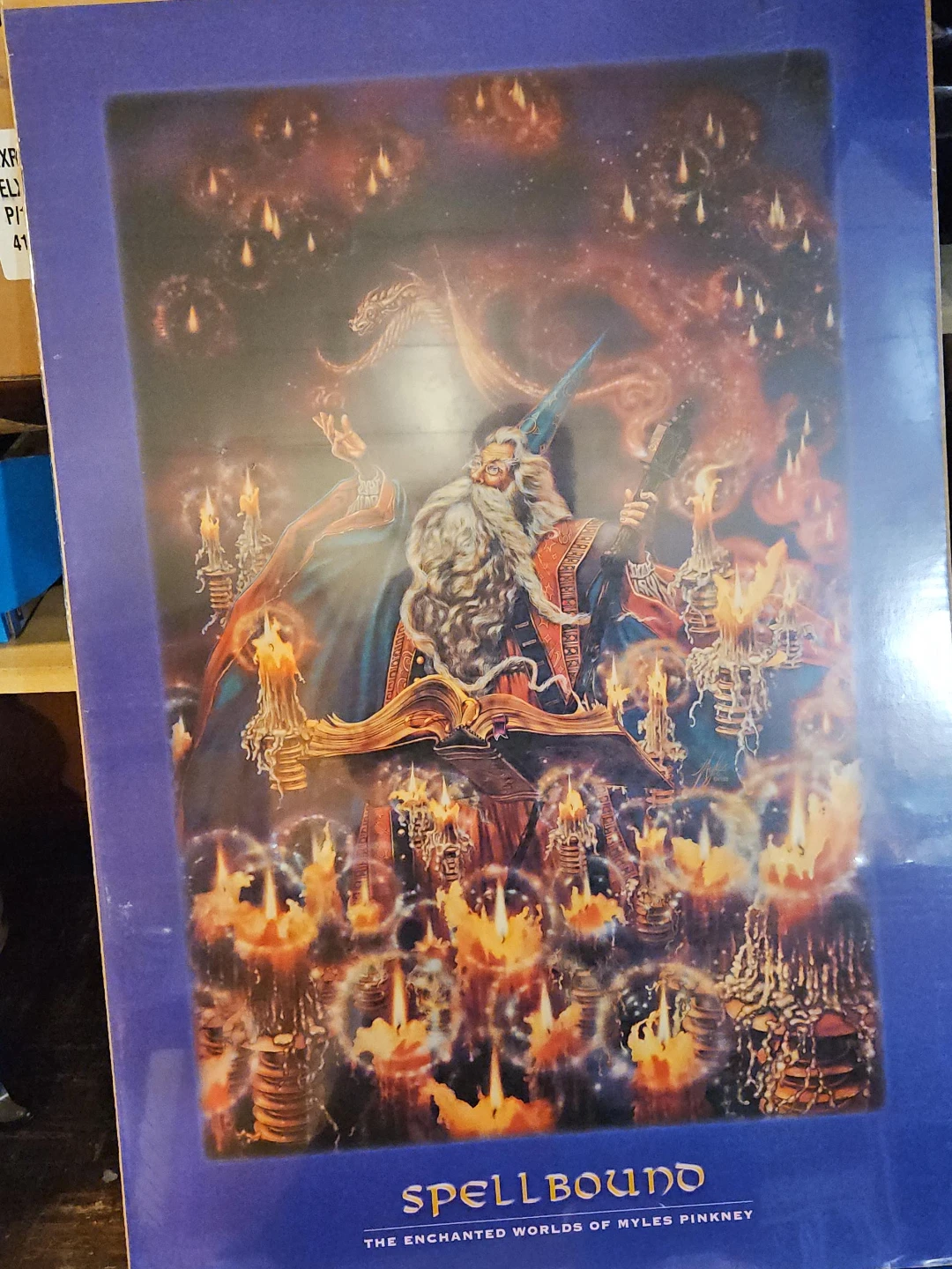 Spellbound The Enchanted Worlds of Myles Pinkney Art Poster