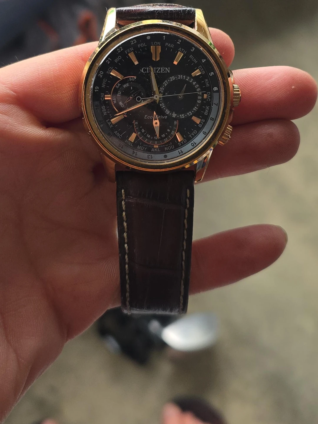 Citizen Eco-Drive World Time Watch