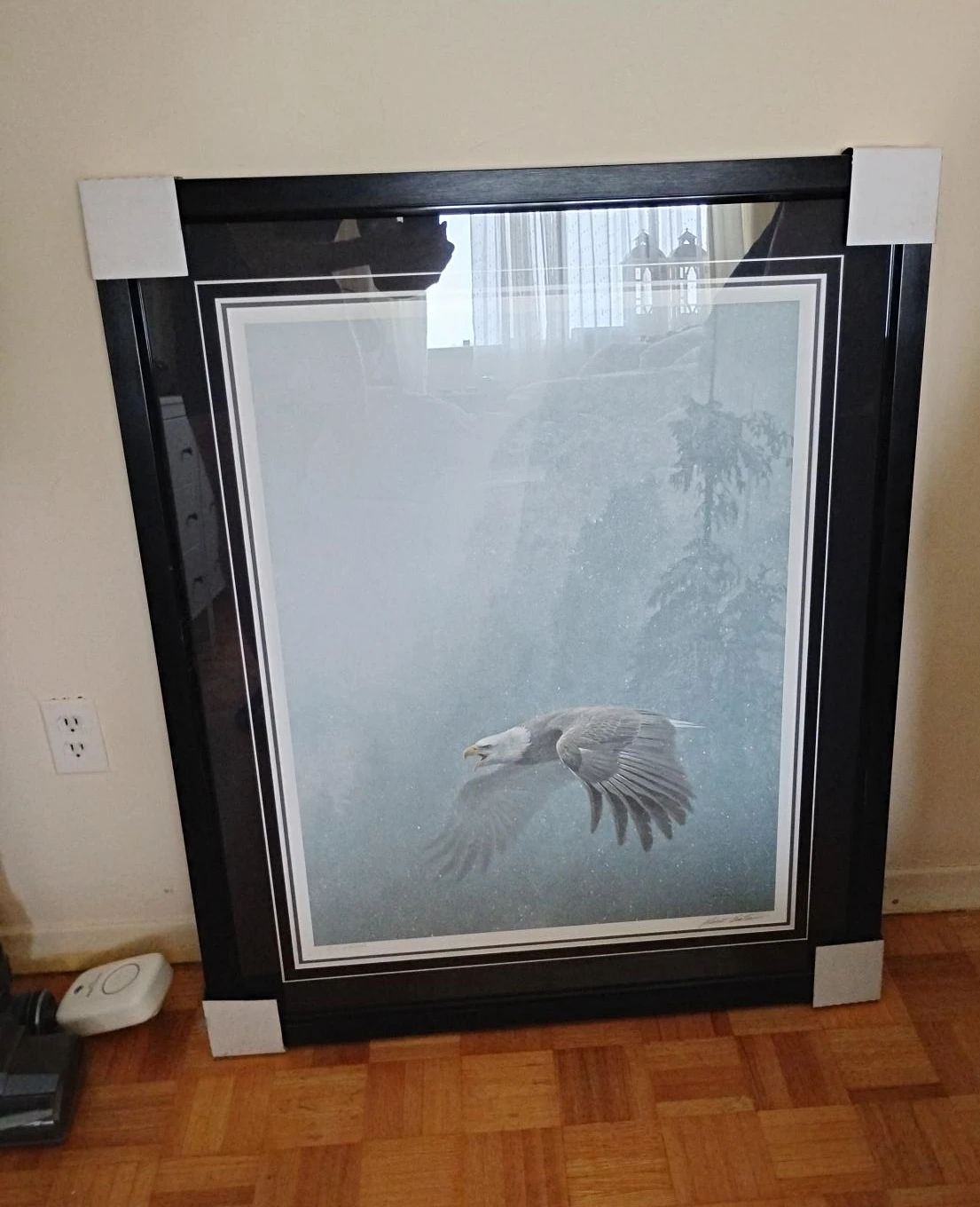 Framed Bald Eagle Art Print