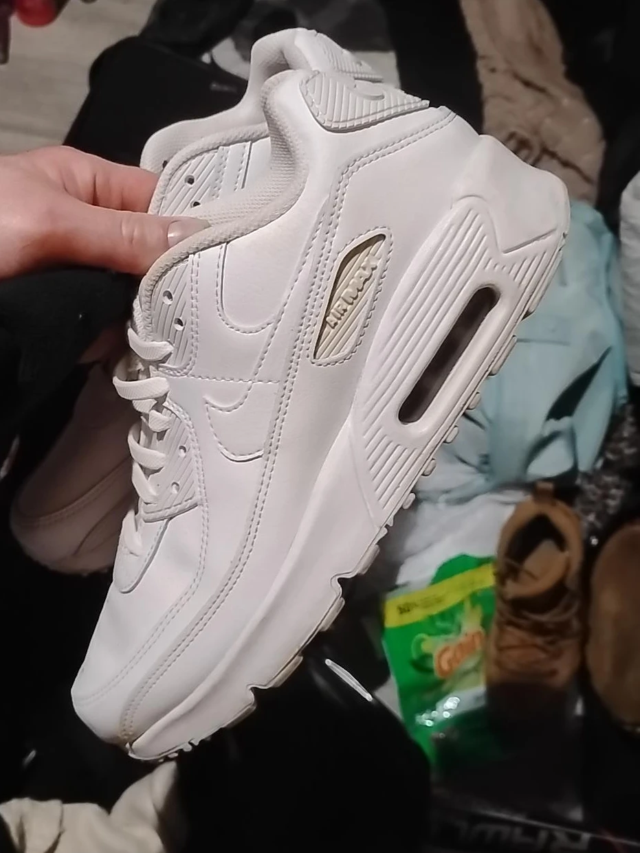 Nike Air Max 90 Men's Shoes