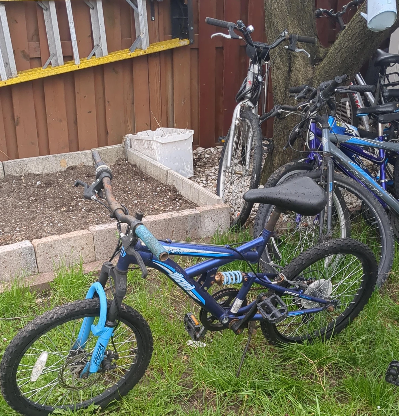 Blue Full Suspension Mountain Bike