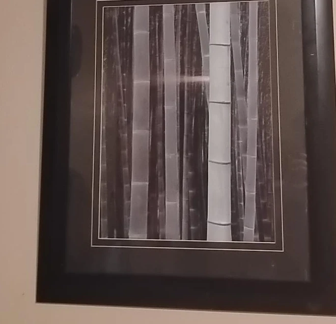 Framed Bamboo Art Print