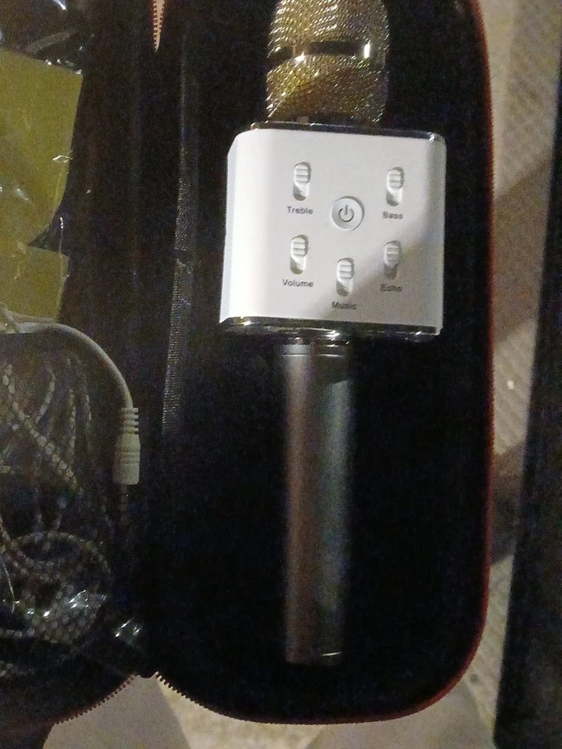 Portable Karaoke Microphone