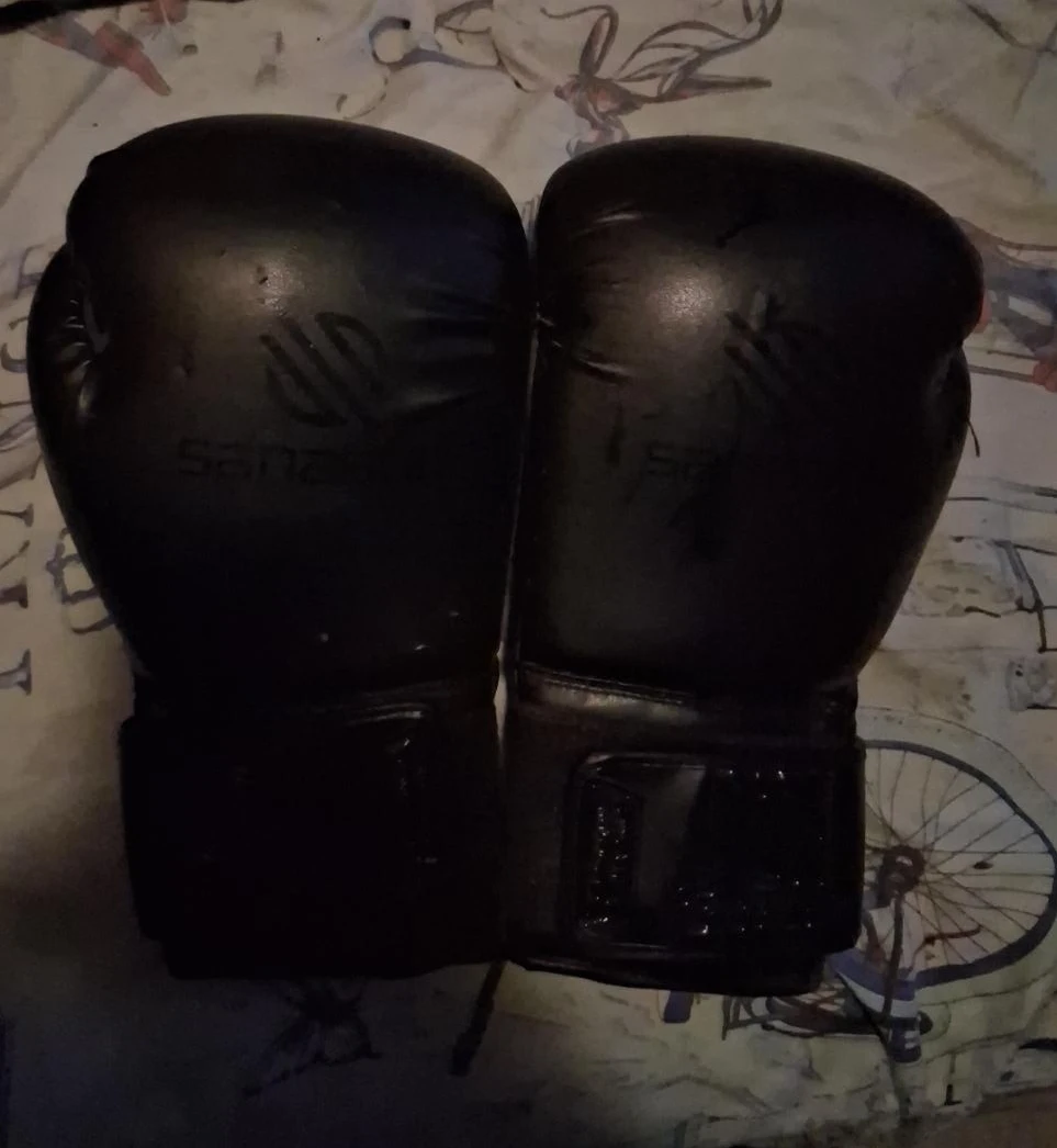 Sanabul Boxing Gloves
